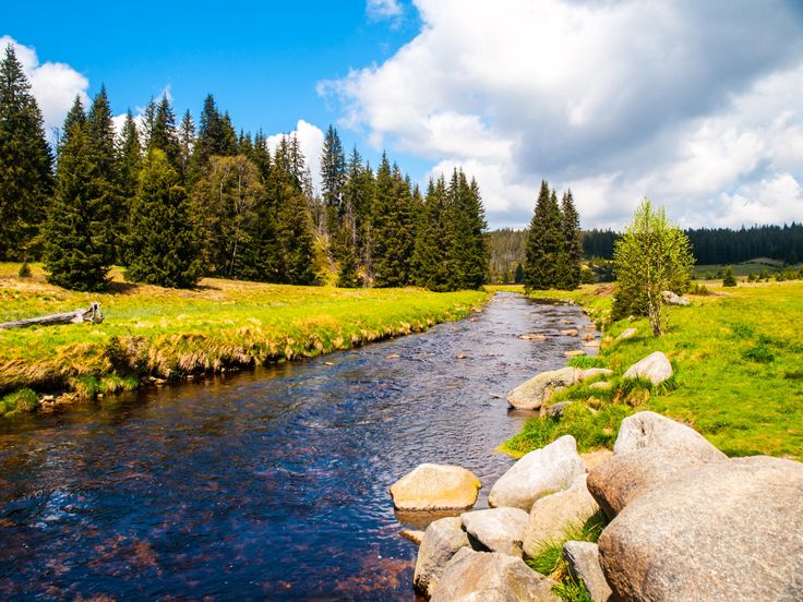 Šumava National Park
